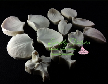 Moth Orchid Petals and Throat Veiner Set By Simply Nature Botanically Correct Products®
